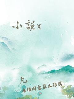 小说x