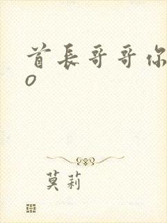 首长哥哥你好po