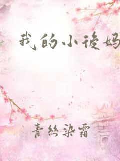 我的小后妈小说