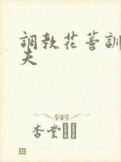 调教花蒂训诫从夫