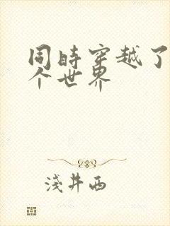 同时穿越了99个世界