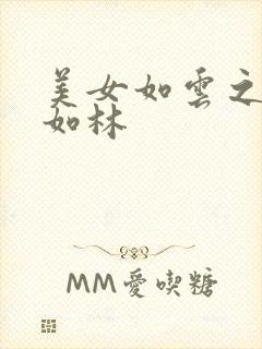 美女如云之高手如林