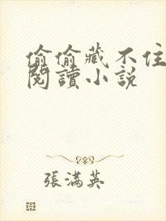 偷偷藏不住免费阅读小说