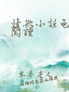 情欲小说龟全文阅读