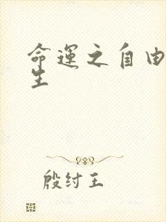 命运之自由的新生