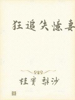 狂追失忆妻