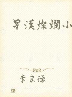 星汉灿烂小说