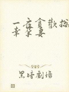 一夜贪欢总裁的幸孕妻