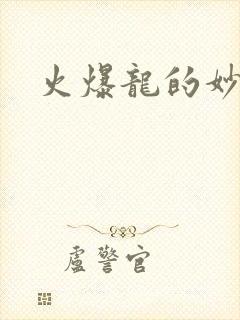 火爆龙的妙管家