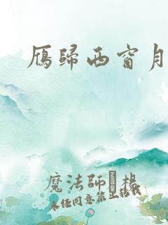 雁归西窗月小说