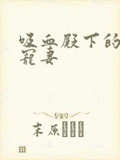 吸血殿下的娇萌宠妻