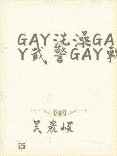 GAY洗澡GAY武警GAY软件