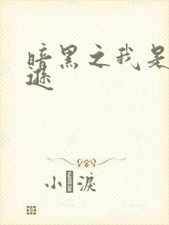 暗黑之我是亚马逊