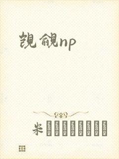 觊觎np