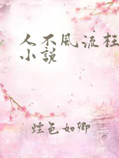 人不风流枉少年小说