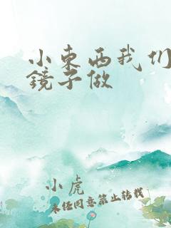 小东西我们对着镜子做