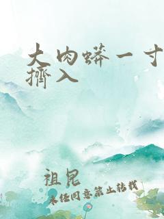 大肉蟒一寸一寸挤入