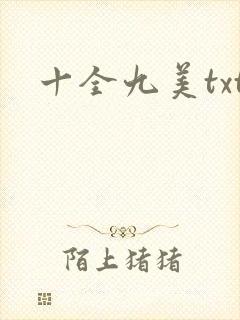 十全九美txt