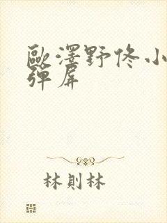 欧泽野佟小曼无弹屏