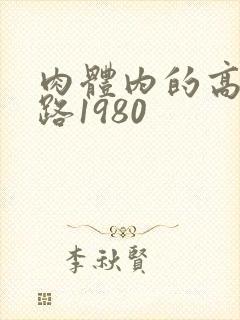 肉体内的高速公路1980