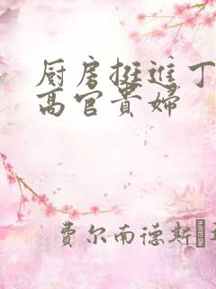 厨房挺进丁字裤高官贵妇