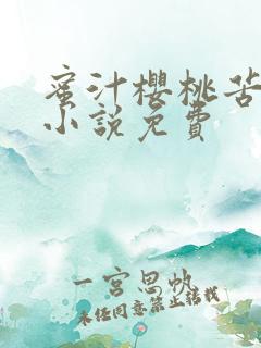 蜜汁樱桃苦咖啡小说免费