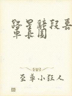 路星辞段嘉衍肉车长图