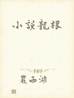 小说龙根