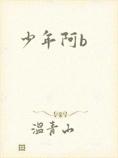 少年阿b