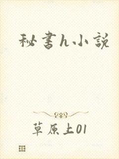 秘书h小说
