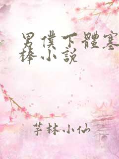 男仆下体塞震动棒小说