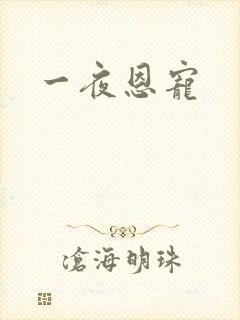 一夜恩宠