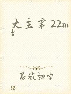 大主宰 22mt