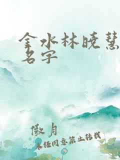 金水林晓慧小说名字