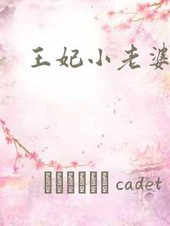王妃小老婆