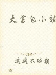 大书包小说