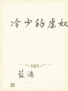 冷少的虐奴