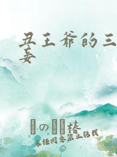 丑王爷的三妻四妾