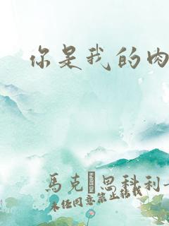 你是我的肉便器