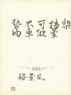 势不可挡柴鸡蛋肉车做晕