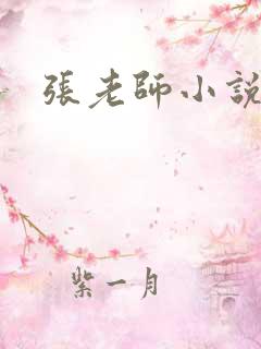 张老师小说