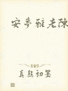 安梦雅老陈