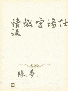 情燃官场仕途风流