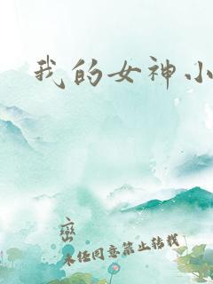 我的女神小说