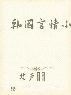 韩国言情小说