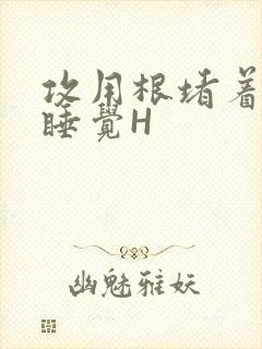 攻用根堵着小受睡觉H