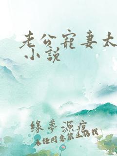 老公宠妻太甜蜜 小说