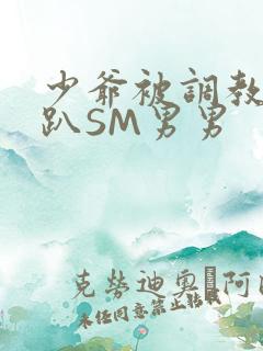 少爷被调教室跪趴SM男男