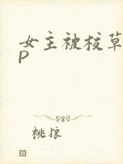 女主被校草们NP