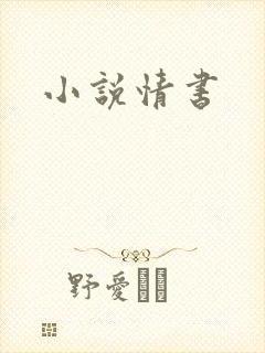 小说情书